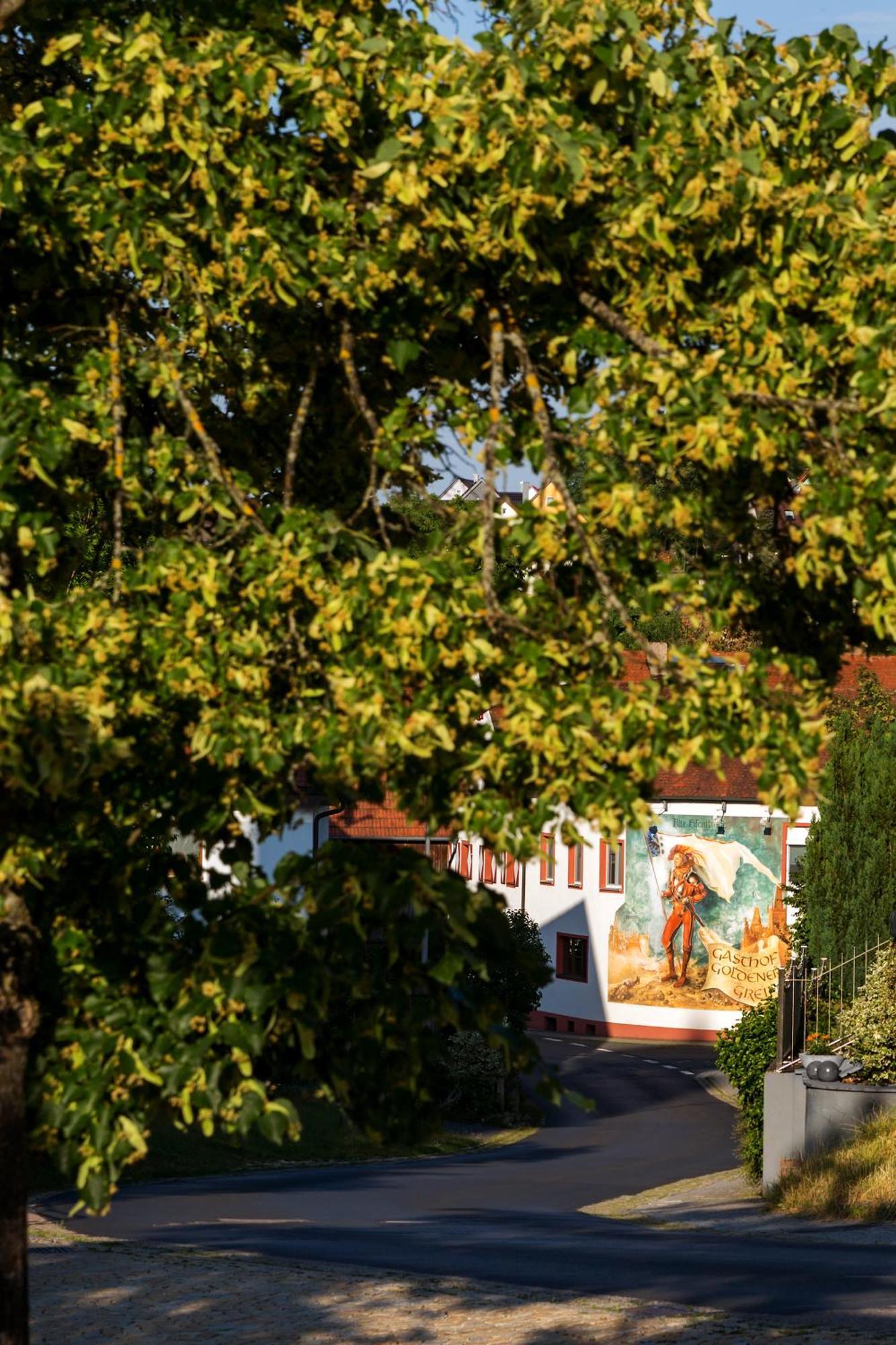 Wirtshaus & Hotel Goldener Greif Edelsfeld Zewnętrze zdjęcie